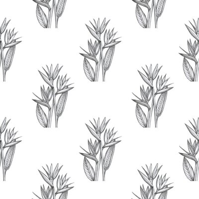 Papier peint  strelitzia pattern