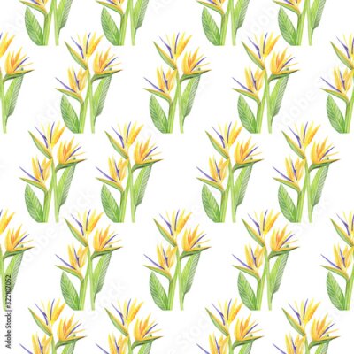 Papier peint  strelitzia pattern