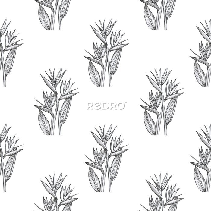 Papier peint  strelitzia pattern