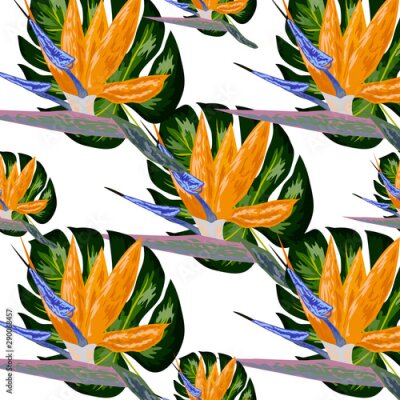 Papier peint  Strelitzia pattern. Tropical flower, blossom cluster seamless pattern. Beautiful background with tropical flowers and palm leaves, plant and leaf.