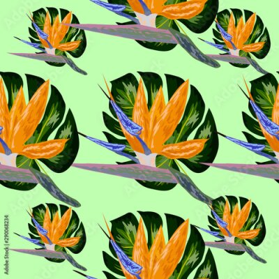 Papier peint  Strelitzia pattern. Tropical flower, blossom cluster seamless pattern. Beautiful background with tropical flowers and palm leaves, plant and leaf.