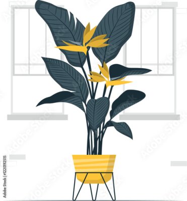 Papier peint  strelitzia plant Cartoon Illustrations