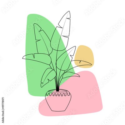 Papier peint  Strelitzia plant in flowerpot. Line art hand drawn houseplant with colored abstract shapes. Modern minimalism