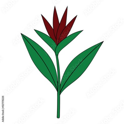 Papier peint  strelitzia plant vector illustration