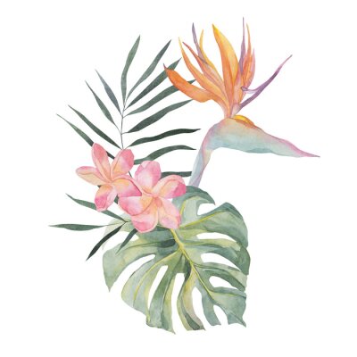 Papier peint  Strelitzia, plumeria, monstera, palm leaf. Watercolor Hand drawn botanical illustrations composition. Isolated on white background. Summer beach print. For design, textiles, wear.