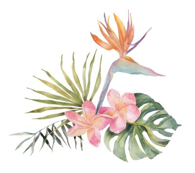Papier peint  Strelitzia, plumeria, monstera, palm leaf. Watercolor Hand drawn botanical illustrations composition. Isolated on white background. Summer beach print. For design, textiles, wear.