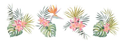 Papier peint  Strelitzia, plumeria, monstera, palm leaf. Watercolor Hand drawn botanical illustrations set. Isolated on white background. Summer beach print. For design, textiles, wear.