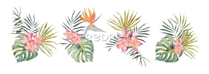 Papier peint  Strelitzia, plumeria, monstera, palm leaf. Watercolor Hand drawn botanical illustrations set. Isolated on white background. Summer beach print. For design, textiles, wear.