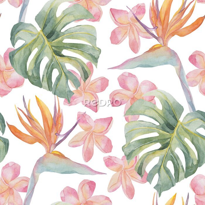 Papier peint  Strelitzia, plumeria, monstera. Tropical exotic bright seamless pattern. Watercolor hand made colorful print. On white background. For textile, wrapping paper, backgrounds.
