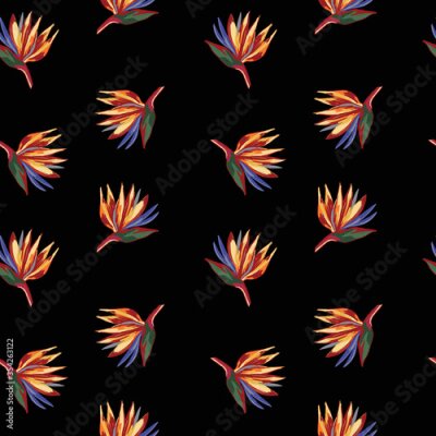 Papier peint  Strelitzia reginae crane flower pattern on black background.