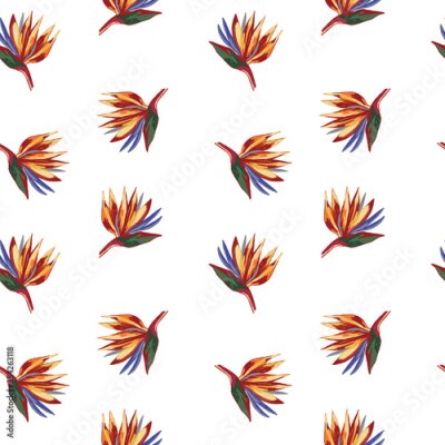 Papier peint  Strelitzia reginae crane flower pattern on lemon background.