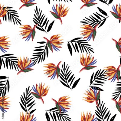 Papier peint  Strelitzia reginae crane flower pattern with black palm leaves on white background.