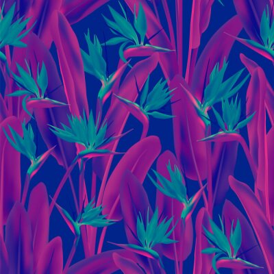 Papier peint  Strelitzia Reginae, fleur de grue, oiseau de paradis