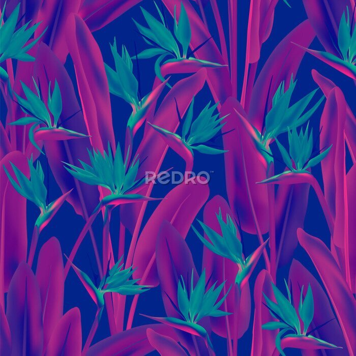 Papier peint  Strelitzia Reginae, fleur de grue, oiseau de paradis