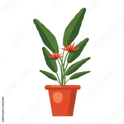 Papier peint  Strelitzia reginae, fleur ou oiseau de paradis. Afrique du Sud plante en fleurs dans un vase. Illustration vectorielle isolée sur fond blanc
