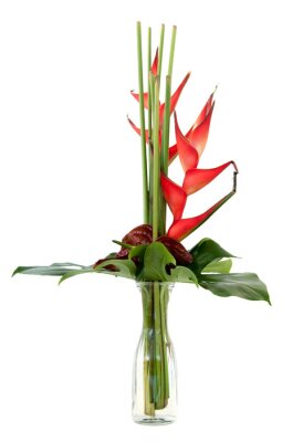 Papier peint  Strelitzia reginae flower bouquet as card for love present gift or even a funeral