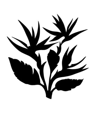 Papier peint  Strelitzia Reginae flower illustration collection isolated on white. Green leaves, orange and violet blossom realistic design set. South African plant, so called crane or bird of paradise.