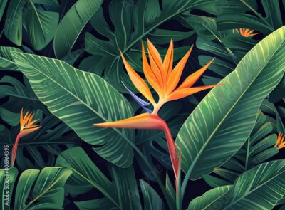 Papier peint  Strelitzia reginae flower in the jungle, vector illustration