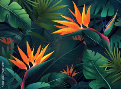 Papier peint  Strelitzia reginae flower in the jungle, vector illustration