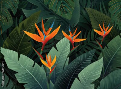Papier peint  Strelitzia reginae flower in the jungle, vector illustration
