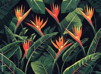 Papier peint  Strelitzia reginae flower in the jungle, vector illustration