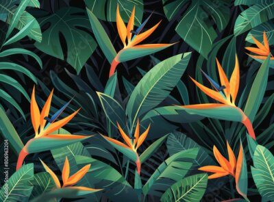 Papier peint  Strelitzia reginae flower in the jungle, vector illustration