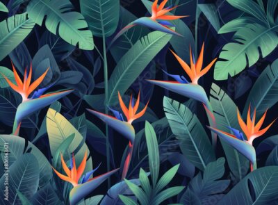 Papier peint  Strelitzia reginae flower in the jungle, vector illustration