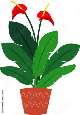 Papier peint  Strelitzia reginae, flower or bird of paradise. Green leaves, orange and violet blossom bouquet. South Africa flowering plant in vase. Vector illustration isolated on white background