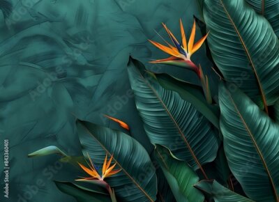 Papier peint  Strelitzia reginae flower with large leaves on a dark green background, tropical leaf texture, an exotic plant in nature shown closeup