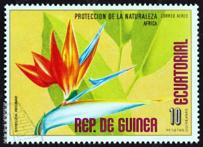 Papier peint  Strelitzia reginae (Guinée équatoriale 1976)