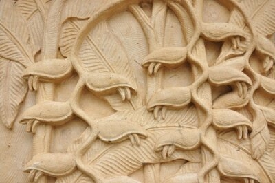 Papier peint  Strelitzia reginae (oiseau de paradis) conception Stonecraft d'art pour spa