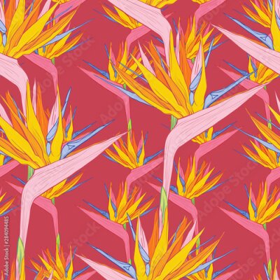 Papier peint  Strelitzia reginae or bird of paradise flowers. Vector colored seamless pattern for fabric textile design.