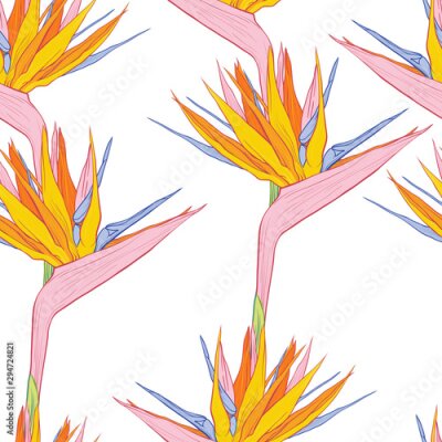 Papier peint  Strelitzia reginae or bird of paradise flowers. Vector colored seamless pattern for fabric textile design.