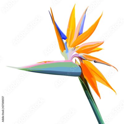 Papier peint  Strelitzia Reginae orange tropical flower bouquets. Vector illustration