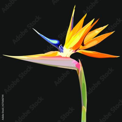 Papier peint  Strelitzia Reginae orange tropical flower bouquets. Vector illustration