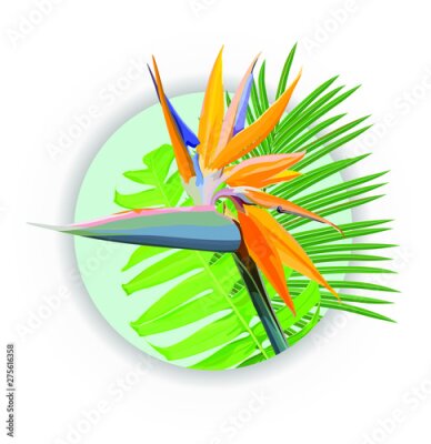 Papier peint  Strelitzia Reginae orange tropical flower bouquets vector set. Green leaves, orange and violet blossom design set. South African plant, so called crane flower or bird of paradise. 