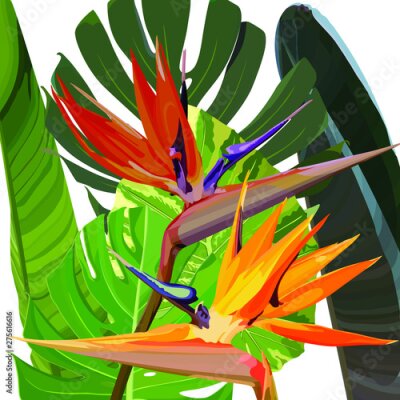 Papier peint  Strelitzia Reginae orange tropical flower bouquets vector set. Green leaves, orange and violet blossom design set. South African plant, so called crane flower or bird of paradise. 