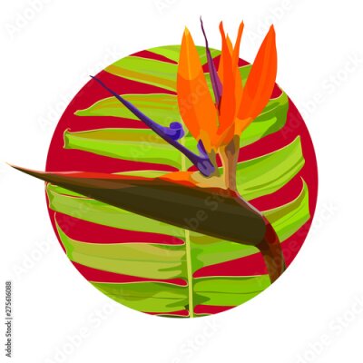 Papier peint  Strelitzia Reginae orange tropical flower bouquets vector set. Green leaves, orange and violet blossom design set. South African plant, so called crane flower or bird of paradise. 