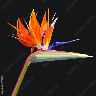Papier peint  Strelitzia Reginae orange tropical flower. Green leaves, orange and violet blossom design set. South African plant, so called crane flower or bird of paradise. EPS 10