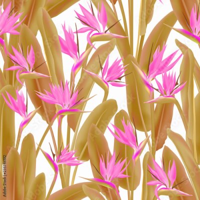 Papier peint  Strelitzia Reginae ou fleur de grue sans soudure.