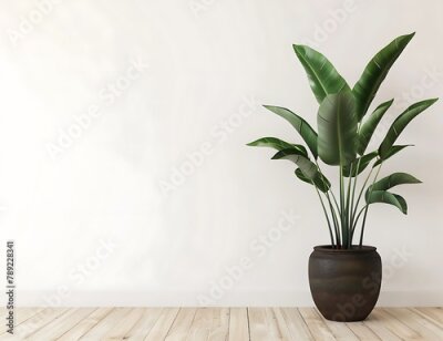 Papier peint  Strelitzia reginae plant in dark brown ceramic pot on wooden table against white wall background with copy space, 3d rendering , empty blank template for mock up design,