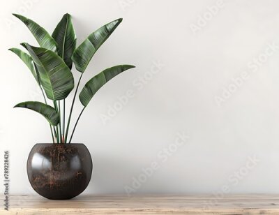 Papier peint  Strelitzia reginae plant in dark brown ceramic pot on wooden table against white wall background with copy space, 3d rendering , empty blank template for mock up design,