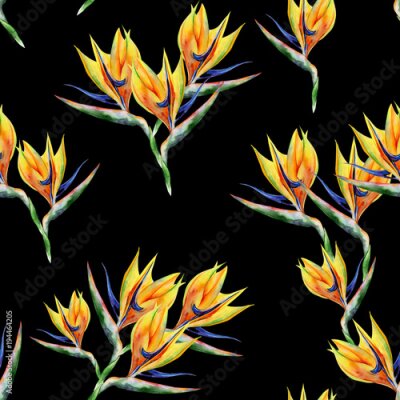 Papier peint  Strelitzia reginae seamless pattern. Watercolor illustration of tropical flower. Banner with tropic summertime motif. Bird of paradise flower. Crane flower. 