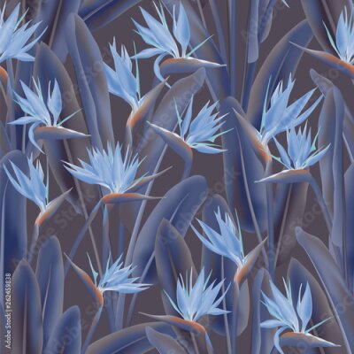 Papier peint  Strelitzia reginae tropical flower vector seamless pattern. Bohemian tropical plant fabric print design. South African plant tropical blossom of crane flower, strelitzia. Floral textile print.