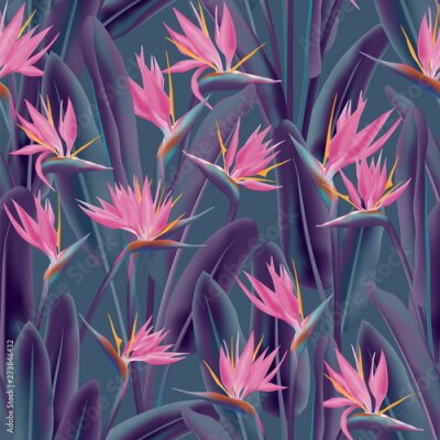 Papier peint  Strelitzia reginae tropical flower vector seamless pattern. Bohemian tropical plant fabric print design. South African plant tropical blossom of crane flower, strelitzia. Floral textile print.