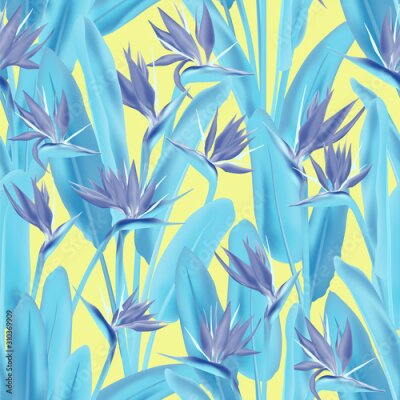 Papier peint  Strelitzia reginae tropical flower vector seamless pattern. Bohemian tropical plant fabric print design. South African plant tropical blossom of crane flower, strelitzia. Floral textile print.