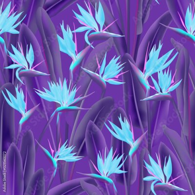Papier peint  Strelitzia reginae tropical flower vector seamless pattern. Bohemian tropical plant fabric print design. South African plant tropical blossom of crane flower, strelitzia. Floral textile print.