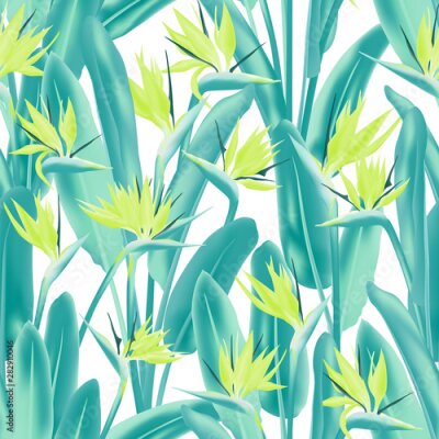 Papier peint  Strelitzia reginae tropical flower vector seamless pattern. Bohemian tropical plant fabric print design. South African plant tropical blossom of crane flower, strelitzia. Floral wallpaper.