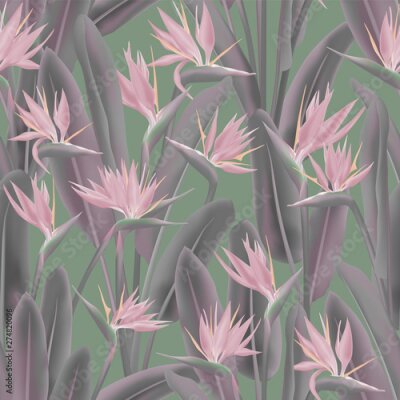Papier peint  Strelitzia reginae tropical flower vector seamless pattern. Jungle exotic tropical plant fabric design. South African plant tropical blossom of crane flower, strelitzia. Floral textile print.