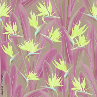Papier peint  Strelitzia reginae tropical flower vector seamless pattern. Jungle exotic tropical plant fabric design. South African plant tropical blossom of crane flower, strelitzia. Floral textile print.